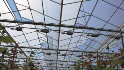 В чем разница между диффузным стеклом и диффузным покрытием?