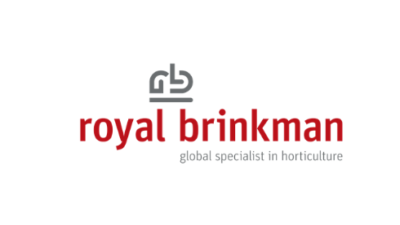Royal Brinkman расширяет своё присутствие в России