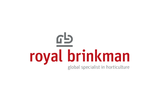 Royal Brinkman расширяет своё присутствие в России