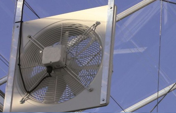 Почему вентиляция теплиц важна для создания оптимальных климатических условий?