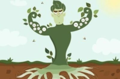 Increasing plant vitality 560 x 370